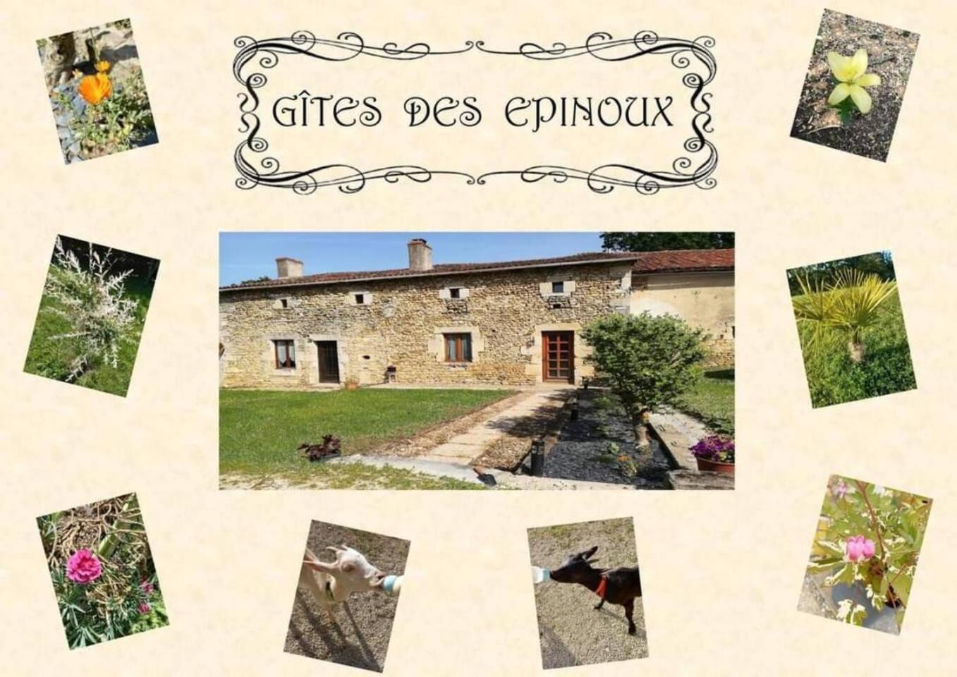 Le Papillon Villa Savigne Buitenkant foto